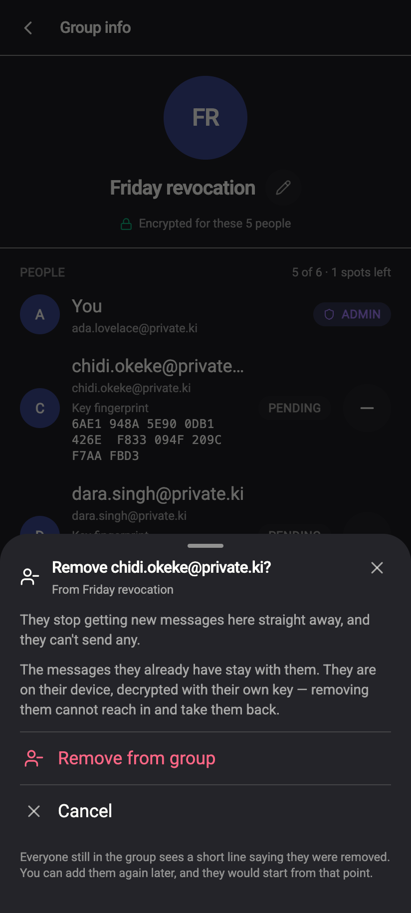 Remove X? — nothing new is encrypted for them; what they already have stays.